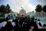 دبب