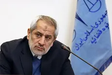 در جریان پرونده جاسوس تیم مذاکره کننده فشار زیادی به قاضی وارد شد/ انتظار وزیر اطلاعات مغایر قانون است