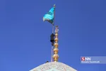 شیرخوارگان