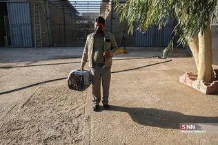 رهاسازی ۹ قطعه پرنده شکاری و آبزی در تالاب بهشت معصومه