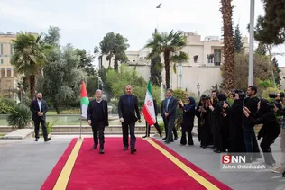 زیادنخاله