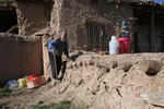 دبب