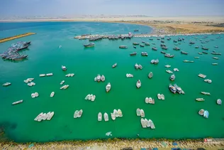 بریس