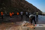 سیل5