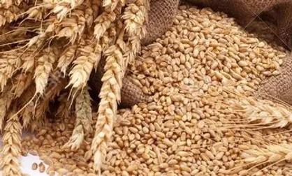 کاهش ۶۶.۷ درصدی صادرات سیگار طی ۷ ماهه + جدول