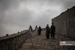 new
