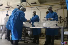 دانشجویان البرزی ۲۰۰۰ وعده غذای گرم بین خانواده‌های کم برخوردار کرج توزیع کردند + تصاویر