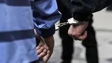 دستگیری سارق طلافروشی خیابان اندرزگو