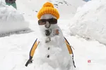 دبب