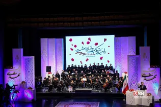 دبب