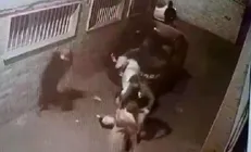واکنش پلیس به انتشارفیلم زورگیری از دو زن/ سارقان قمه‌به‌دست دستگیر شدند