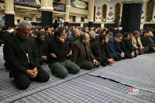 دبب