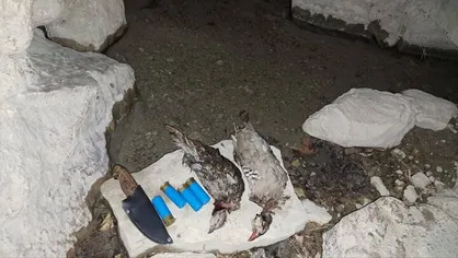 دستگیری شکارچی متخلف پس از ۱۲ ساعت تعقیب محیط&zwnj;بانان در ارتفاعات چرام