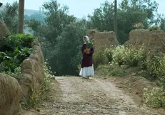 جشنواره جهانی فیلم فجر با نمایش فیلمی از عباس کیارستمی افتتاح می‌شود