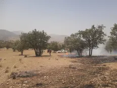آتش‌سوزی در منطقه حفاظت‌شده دنا تلاش نیرو‌های منابع طبیعی و مردم برای مهار حریق