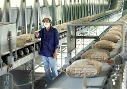 ابقای صنعت تولید سیمان با لغو قیمت&zwnj;گذاری دستوری