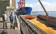 تخلیه ۲۱۴ هزار تن گندم در بندر امام