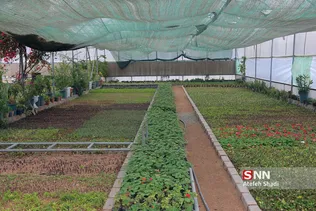 صدای پای بهار