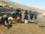 اردوی جهادی