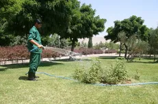 فضای سبز تهران تا سال ۱۴۱۰ با پساب تصفیه خانه‌ها آبیاری می‌شود