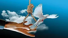 زندانی محکوم به قصاص پس از ۷ سال به حرمت امام علی (ع) از چوبه دار رهایی یافت