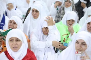 دبب