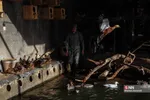 رهاسازی ۹ قطعه پرنده شکاری و آبزی در تالاب بهشت معصومه