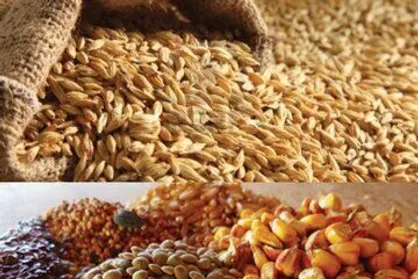 بازار روسیه فرصت بسیار مناسبی برای نقش آفرینی تولیدکنندگان ایرانی است