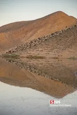 hamidi