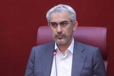 مدنی‌زاده: یارانه باید مستقیم به مردم برسد + فیلم