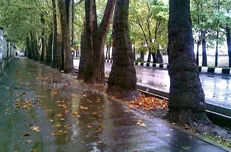 باران و صاعقه ۵ روزه در ۱۵ استان / احتمال بارش تگرگ در برخی مناطق