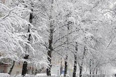برف و باران در ۱۳ استان/ ترافیک سنگین در محورهای برون‌شهری تهران