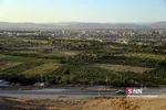 تخریب باغات