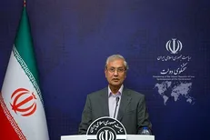 ربیعی: روحانی منکر موجودیت و قانونیت شورای نگهبان نیست/ تکذیب خبر دستگیری رابطین زم در نهاد ریاست جمهوری