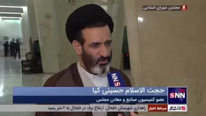 حسینی&zwnj;کیا: اگر واردات خودرو انجام نشود، قیمت خودرو همچنان صعودی خواهد بود