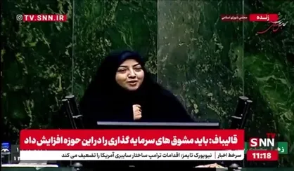 سعیدی: آقای پزشکیان! شما می&zwnj;توانید امیرکبیر زمانه باشید/ باید اعتماد مردم را جلب کنیم تا طلا و ارز خود را بیاورند