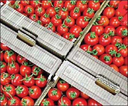 &laquo;دو نشان&raquo; با تیر &laquo;بالابردن عوارض صادرات تره&zwnj;بار&raquo;! / از دست دادن بازارهای صادراتی و کاهش موقتی قیمت