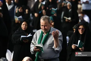 دبب