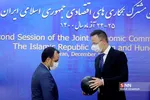 بیدذب