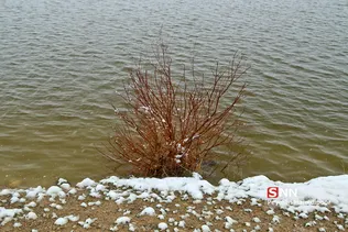طبیعت برفی عبدل آباد