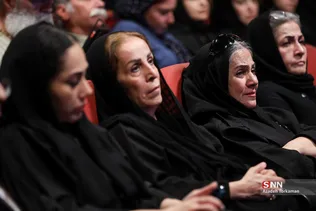 دبب