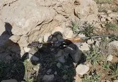 دستگیری ۲ شکارچی متخلف در دربند