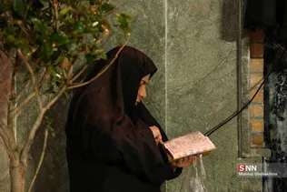 دبب