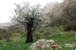 روستای شاهاندشت