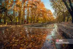fall