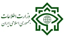 پاسخ وزارت اطلاعات به اظهارات یکی از نمایندگان درباره مدیران دو تابعیتی