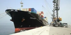 واردات ۸۰ هزار رأس دام زنده از طریق بندر چابهار‌