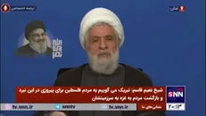 شیخ نعیم قاسم: رژیم صهیونیستی هزاران بار آتش‌بس را نقض کرد