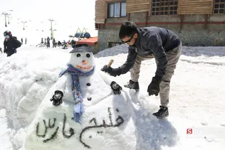 دبب