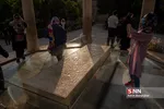 شبث